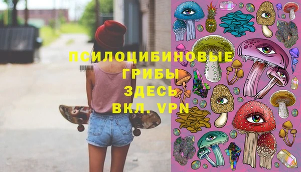 дурь Володарск