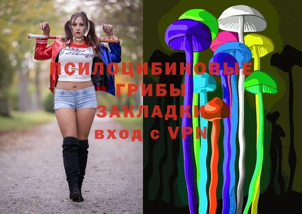 дурь Володарск