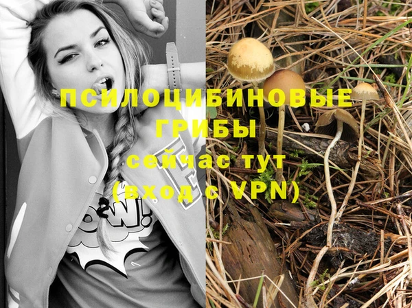 таблы Волосово