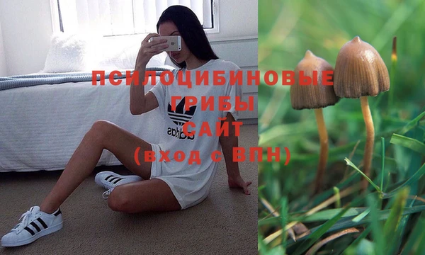 COCAINE Магас