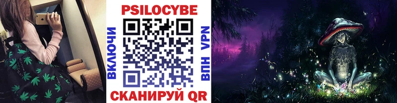 дарк нет наркотические препараты  Высоковск  Псилоцибиновые грибы ЛСД  сколько стоит 
